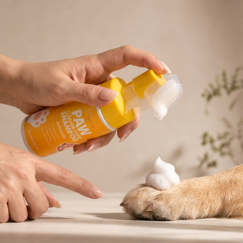 After Walk Paw Cleanser — 2 Pack
